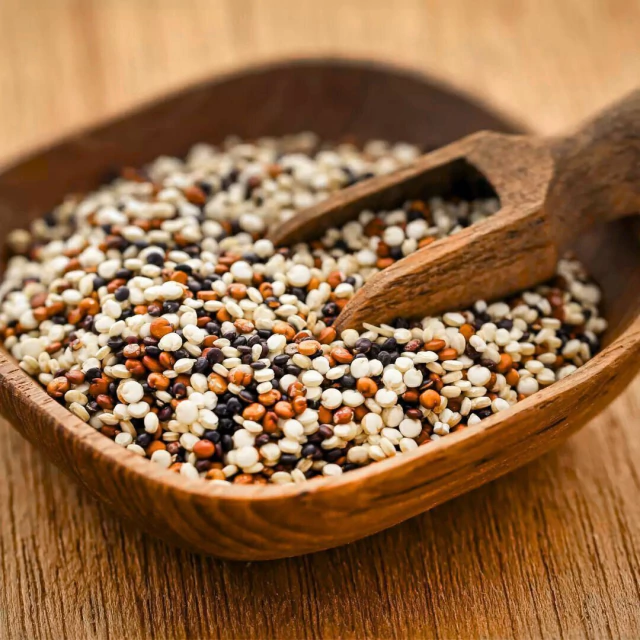 MIX QUINOA EM GRÃOS 100g